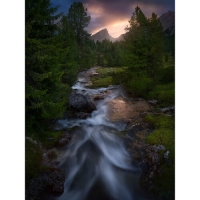 ����������