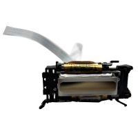 ���������� ����