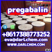 ���������� ����