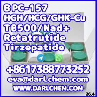 ���������� ����