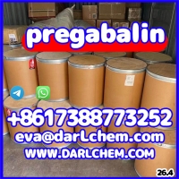 ���������� ����