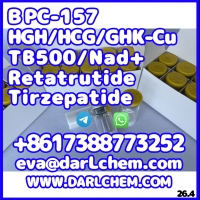 ���������� ����